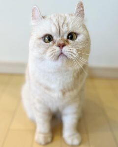 こんにちは!
