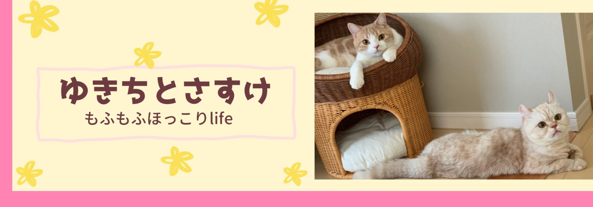 ゆきちとさすけ  もふもふほっこりlife